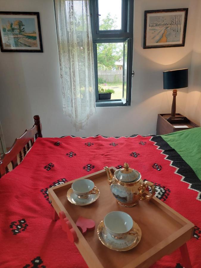 Apartmani Petkovic 226 Velika Drenova Exterior foto