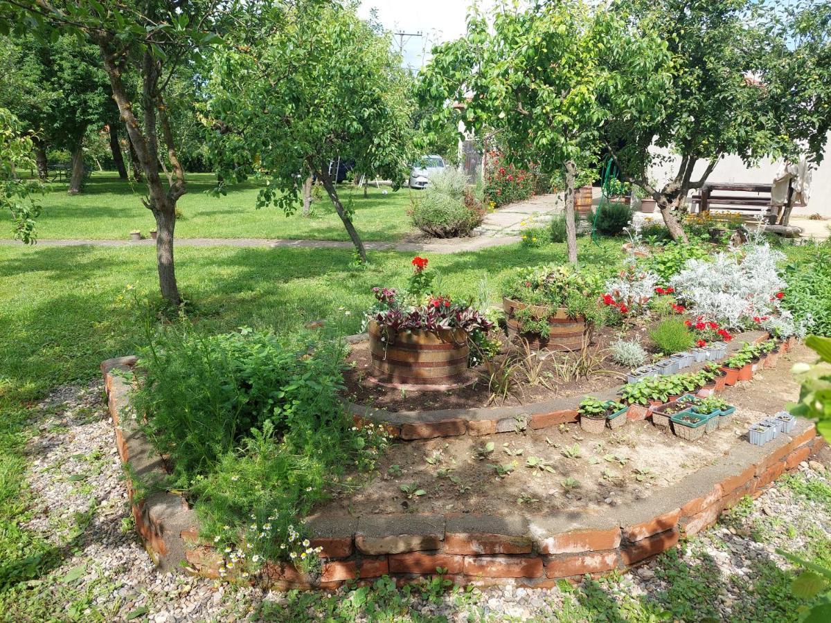 Apartmani Petkovic 226 Velika Drenova Exterior foto