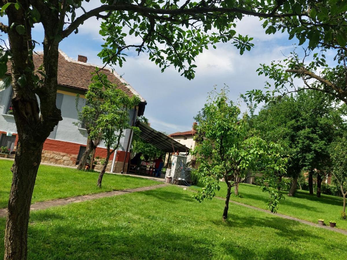 Apartmani Petkovic 226 Velika Drenova Exterior foto